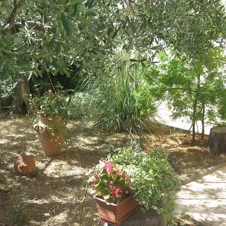 Studio In With Balcony, Air Condition, Wifi